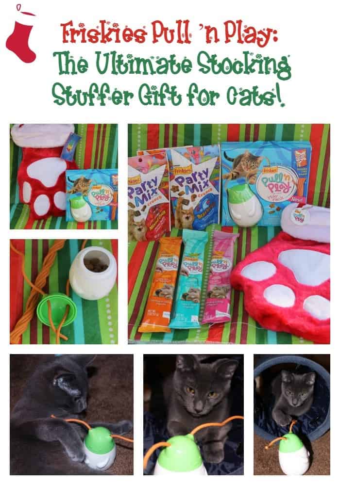 friskies-pull-n-play-combo-pack-the-ultimate-stocking-stuffer-gift-for-cats